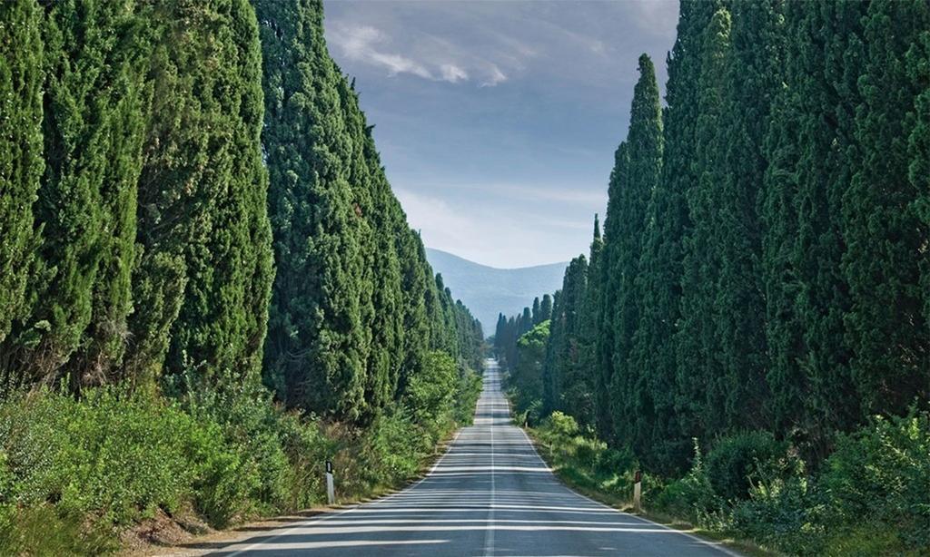 Agriturismo Ss Annunziata سان فينتْشينسو المظهر الخارجي الصورة