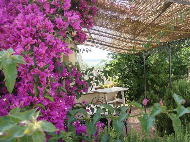 Agriturismo Ss Annunziata سان فينتْشينسو المظهر الخارجي الصورة